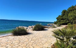 Koino, Zadar