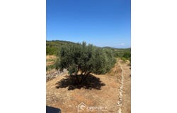 Komiža, Split-Dalmatia County 21483