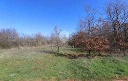 Marčana, Istarska