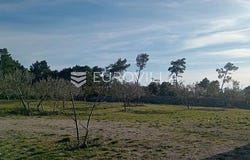 Brac, Splitsko-dalmatinska