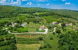 Pazin, Istarska