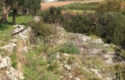 Brac, Splitsko-dalmatinska 21410