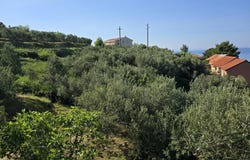 Podgora, Split-Dalmatia County 21327