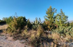 Novigrad, Istarska