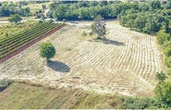 Marčana, Istarska