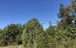 Dobrinj, Primorsko-goranska