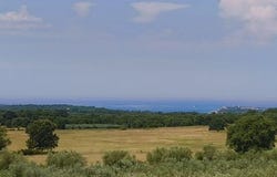 Poreč, Istarska