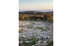 Sevid, Split-Dalmatia County 21222