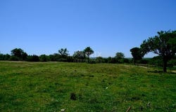 Vrsi, Splitsko-dalmatinska