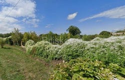 Osijek, Osjecko-baranjska 31226