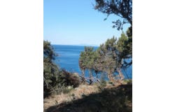 Sveta Nedjelja, Split-Dalmatia County 21465