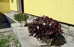 Rijeka, Primorsko-goranska