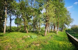 Tinjan, Istarska