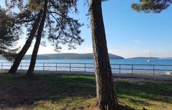 Pula, Istarska