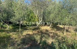 Istarska županija, Istria County 52474