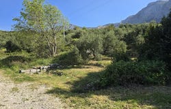 Podgora, Split-Dalmatia County 21327