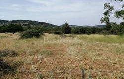 Brac, Splitsko-dalmatinska 21423