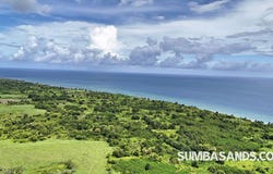Kodi, Kodi, East Nusa Tenggara