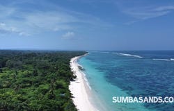 Kodi, Kodi, East Nusa Tenggara