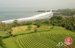 Tabanan, Tabanan, Bali 82111