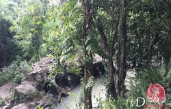 Tabanan, Tabanan, Bali 82111