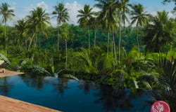 Blahbatuh, Ubud, Gianyar, Bali 83150