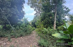 Ubud, Ubud, Bali
