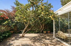 Zikhron Ya'akov, Haifa District