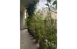 Tel Aviv, Tel Aviv District 00663