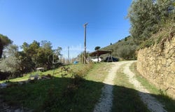 Vinci, Tuscany 50059