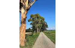 Grosseto, Tuscany 58100