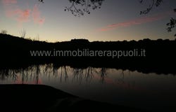 Rapolano Terme, Tuscany 53040
