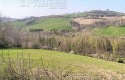 Terre Roveresche, Marche 61040