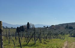 San Casciano in Val di Pesa, Tuscany 50026