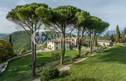 Dicomano, Tuscany 50062