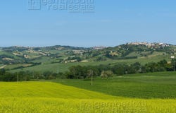 Sant'Ippolito, Marche 61040