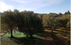 Ostuni, Puglia