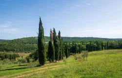 Grosseto, Tuscany 58100