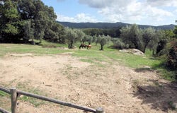 Sassofortino, Tuscany 58036