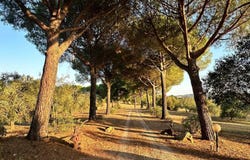 Magliano in Toscana, Tuscany 58051