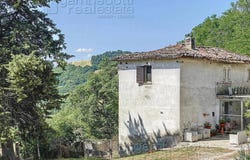 Urbino, Marche 61029