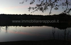 Rapolano Terme, Tuscany 53040