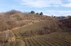 Acqui Terme, The Piedmont 15011