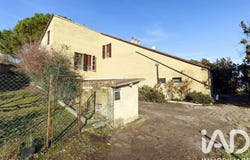 Montegranaro, Marche 63812