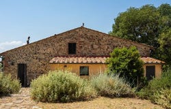 Campagnatico, Tuscany 58042