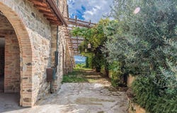 Radicondoli, Tuscany 53030