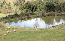 Gavorrano, Tuscany 58023