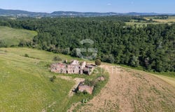 Asciano, Tuscany 53041