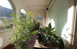 Calci, Tuscany 56011