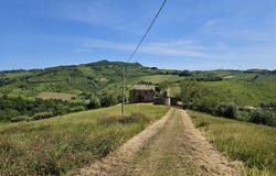 Ripatransone, Marche 63065
